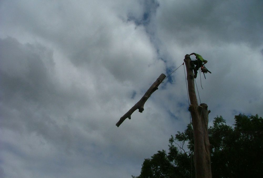 Controlled lowering for your safety