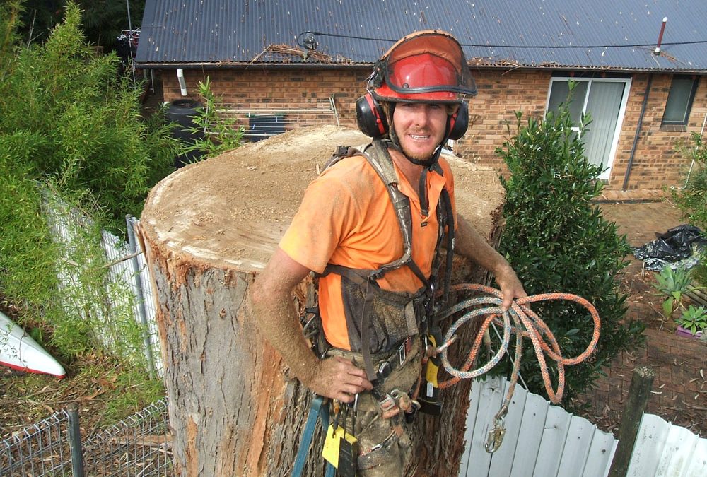 Tim Griffiths happy after a large tree removal