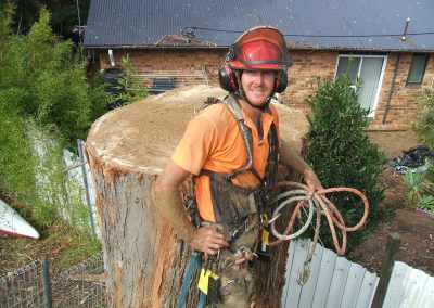 Tim Griffiths happy after a large tree removal