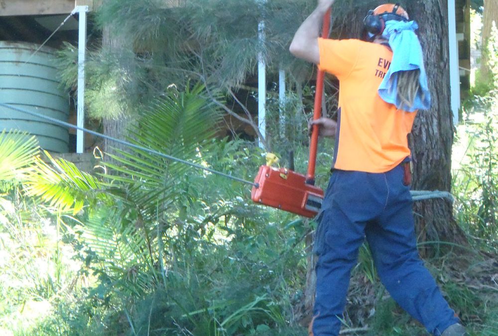 Ryan Smith in action using turfer to assist in felling barrel
