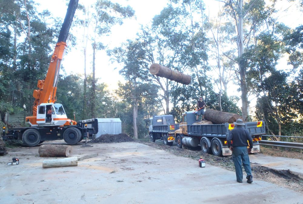 Sir lift a lot helping us with removing logs